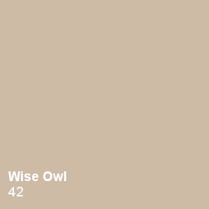 Wise Owl Paint Color, Kelly Moore Paint, Kelly Moore, Living Room Wall Color, Wise Owl Paint, Bathroom Paint Colors, Paint Color Palettes, Front Rooms, Custom Bathroom