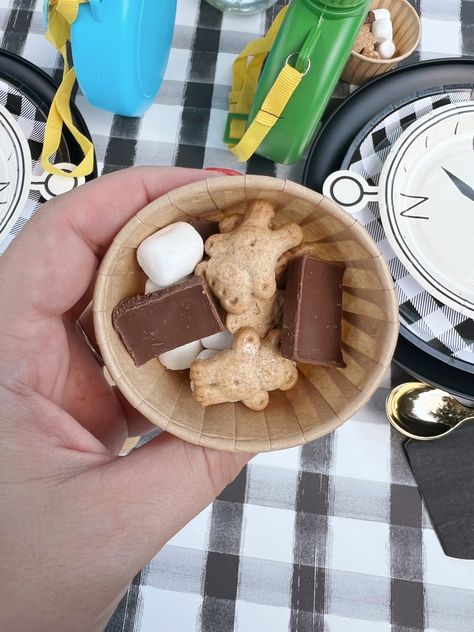 Camping Themed Birthday Party - traditionallycozy.com S’mores Themed First Birthday, Camping Birthday Party Food, Camp Party Theme, Camp Themed Birthday Party, Camp Themed Party, Camp Theme Party, Camp Themed Birthday, Camping Party Decor, Camping 1st Birthday