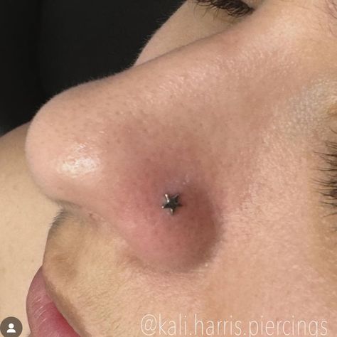 🔥KALI HARRIS🔥 @kali.harris.piercings will be with us July 7th 12-7pm 🪭 walk ins, no appointment necessary but if you have any questions feel free to message her ! She will be with us every first Sunday of each month ! 🌪️🌟Piercings available: Lobe, Helix, Conch, Tragus, Flat, Stacked Lobes, and Nostril. Piercings start at $30 including basic titanium jewelry with upgrades in gold and fancy titanium available . . . #sanantoniotexas #satx #truebelieverstattoosatx #sanantonio #flashtattoodays #... Nose Piercing Flat Nose, Stacked Lobes, Nostril Piercing Jewelry, Piercing Nostril, Nostril Jewelry, Flat Piercing, Piercing Stud, Nostril Piercing, Nose Piercing Stud