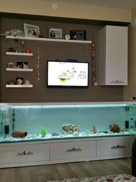 Homemade Aquarium, Fish Tank Wall, Fish Aquarium Decorations, Wall Aquarium, Cool Fish Tanks, Fish Tank Design, Tv Unit Decor, Aquarium Stand, Diy Aquarium