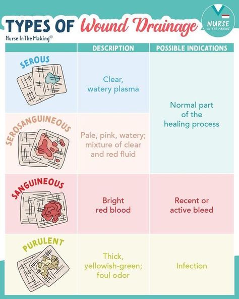 Types of Wound Drainage #nursingstudent #nurse #resources - Image Credits:  Laura Sotorres Nursing Wound Care, Wound Nurse, Types Of Burns, Wound Care Nurse, Ipad Pro Notes, Wound Care Nursing, Nurse Study, Nurse Study Notes, Airbnb Promotion