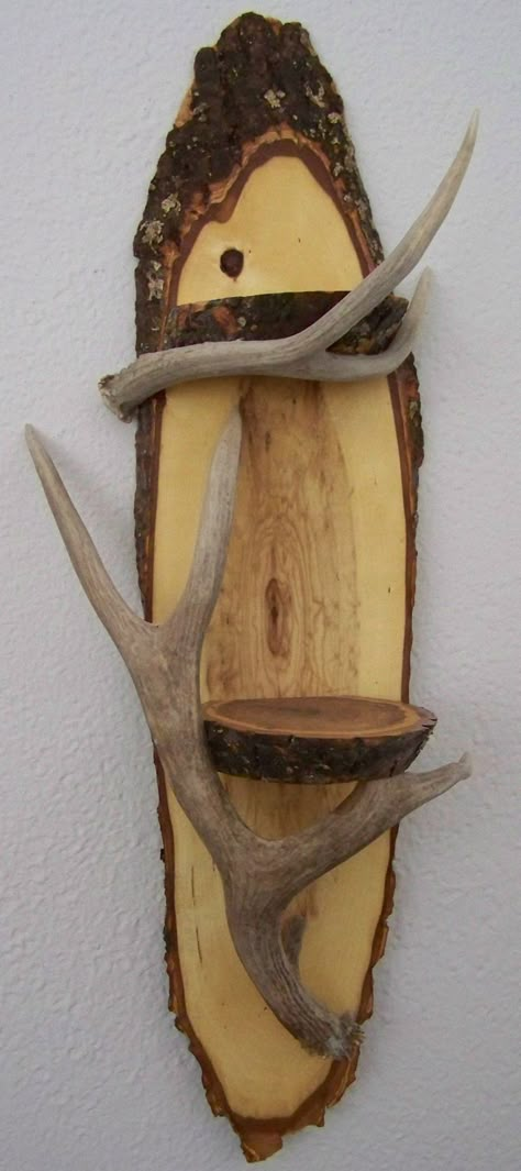 Antler Shelf, Deer Antler Ideas, Antler Projects, Deer Antler Crafts, Antler Ideas, Deer Antler Decor, Deer Heads, Antlers Decor, Antler Crafts