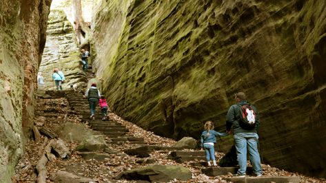 Cantwell Cliffs Hocking Hills, Ohio Hiking, Rock Steps, Hocking Hills State Park, Ohio Travel, Hocking Hills, Park Trails, Rock Face, House On The Rock