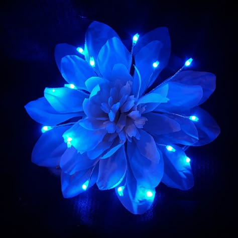 White Light Up Flower Hair Clip with Blue LEDs Royal Blue Flowers Aesthetic, Glowing Blue Flower, Blue And White Flower Aesthetic, Blue Aesthetic Flowers, Blue Flower Aesthetic, Blue Flowers Aesthetic, Glowing Flowers, White Dahlia, Blue Aesthetic Dark