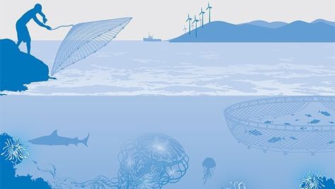 Call for Bangladesh-Sri Lanka cooperation to tap blue economy potentials Blue Economy, Sustainable Fishing, Horn Of Africa, Bay Of Bengal, Marine Ecosystem, The Horn, New Times, African Countries, Times Of India