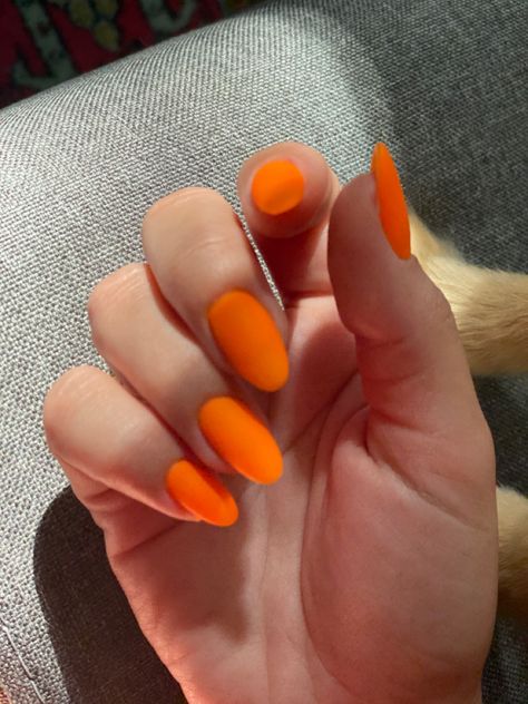 Mat Orange Nails, Mango Colored Nails, Orange Matte Nails, Orange Acrylic Nails, Dipped Nails, Orange Nails, Matte Nails, Shades Of Orange, Light Orange