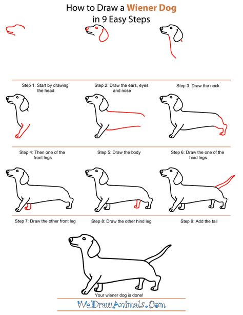 How To Draw A Sausage Dog, Sausage Dog Drawing Easy, How To Draw A Dachshund, Sausage Dog Drawing, Tutorial Sketch, Dog Draw, Draw Dog, Dachshund Drawing, Dog Drawing Simple