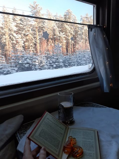 Train Aesthetic Winter, Winter Train, Cold Christmas, Aesthetic Snow, Ice Magic, Europe Train, Skating Aesthetic, Winter Window, Winter Bucket List