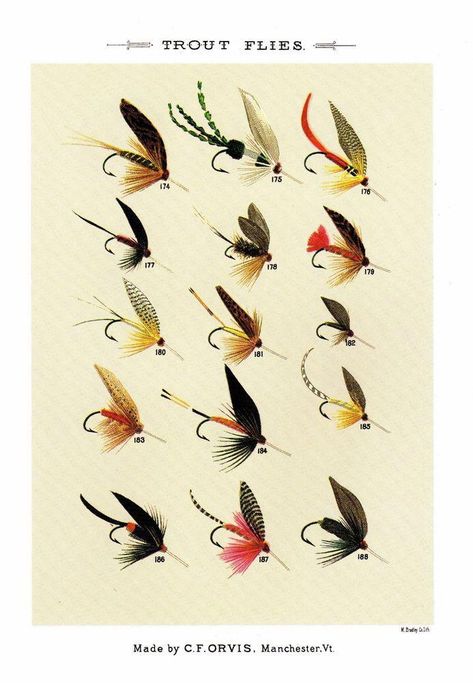 Vintage Trout Flies Print Vintage Fly Fishing Flies Print Gallery Wall Art 2724s #Vintage #saltwaterfishingtips Fish Prints, Fly Fishing Art, Tying Flies, Fishing Art, Fly Fishing Tips, Trout Flies, Bass Fishing Lures, Bass Fishing Tips, Fishing Ideas