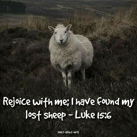 Sheep Bible Verses, Luke 15 Lost Sheep, Sheep Quotes, Sheep Quote, Luke 15, Lost Sheep, Daily Grace, Gospel Quotes, Stitch Stuff