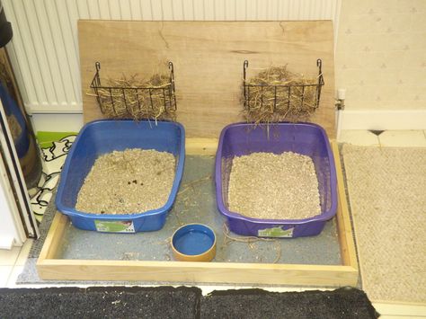 Diy Rabbit Litter Box And Hay Feeder, Nesting Boxes Diy, Hay Rack, Rabbit Habitat, Rabbit Litter, Hay Racks, Rabbit Litter Box, Pet Bunny Rabbits, Rabbit Life