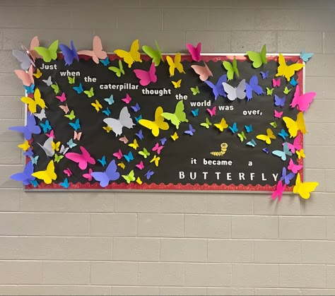 Bulletin Board Ideas Butterflies, Butterflies Bulletin Board Ideas, The Wonder Of Teaching Is Watching Caterpillars Become Butterflies, Butterfly Classroom Theme Decorations, Butterfly Themed Classroom Decor, Butterfly Door Decorations Classroom, Butterfly Classroom, Butterfly Bulletin Board Ideas, Pre K Bulletin Board Ideas