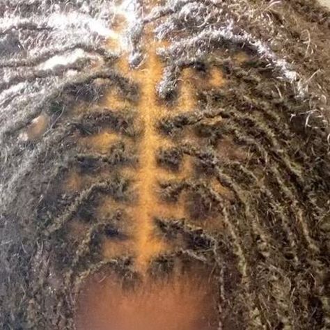 nari’s microlocs on Instagram: "let’s get into the grid, my loctitian is the best 🫶🏽 #locs #microlocs #locjourney" Thinning Locs, Dry Locs, Starter Locks, Start Locs, Thick Dreads, Thick Locs, Sister Locks, Traction Alopecia, Hair Steamers