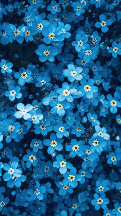 Flowers Summer Aesthetic, Forget Me Not Flowers Photography, Light Blue Flowers Aesthetic Wallpaper, Forget Me Not Flower Wallpaper, Blue Plant Aesthetic, Geranium Wallpaper, Dark Blue Wallpaper Aesthetic, Pretty Floral Background, Blue Flower Background