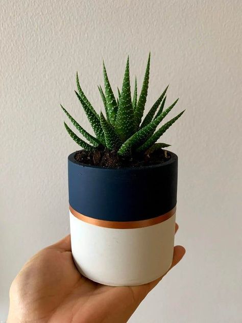 Succulent Workshop, Plant Pot Design, Flower Pot Art, Plant Pot Diy, Pot Design, Painted Pots Diy, Flower Pot Design, Painted Plant Pots, Modern Rainbow