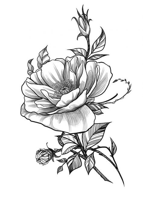 Half Face Tattoo, Tattoo Scorpio, Upper Leg Tattoos, Rose Tattoos For Women, Tattoos For Women Half Sleeve, Hip Tattoos Women, Floral Tattoo Sleeve, Temp Tattoo, Celtic Tattoos