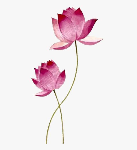 Lotus Flower Png, Lotus Fabric, Pichwai Art, Cherry Blossom Wall Art, Lotus Painting, Splash Images, Wedding Invitation Background, Digital Invitations Wedding, Owl Tattoo Design