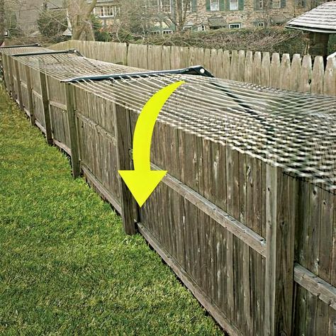 Cat Fence - Purrfect Fence Short Fence, Cat Fence, Fence Toppers, Outdoor Cat Enclosure, Cat Proofing, Cat Run, Fencing Material, Types Of Cats, Cat Enclosure