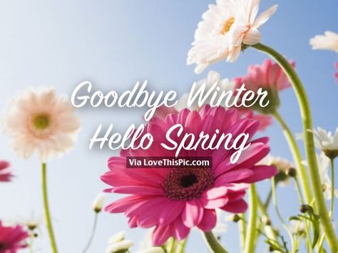 Goodbye Winter, Hello Spring spring spring quotes hello spring welcome spring… Hello September Spring, Funny Cold Weather Quotes, Monthly Greetings, Hello Spring Quotes, Goodbye Winter Hello Spring, Springtime Quotes, Cold Weather Quotes, Seasonal Quotes, Goodbye Winter