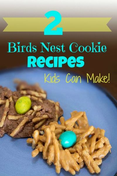 Kids can Make these 2 Yummy Birds Nest Desserts - Life with Moore Babies Cookies Kids Can Make, Adaptive Activities, Bird Nest Cookies, Daycare Snacks, Birds Nests Recipe, Reggio Art, River Activities, Baking Activities, Edible Bird's Nest