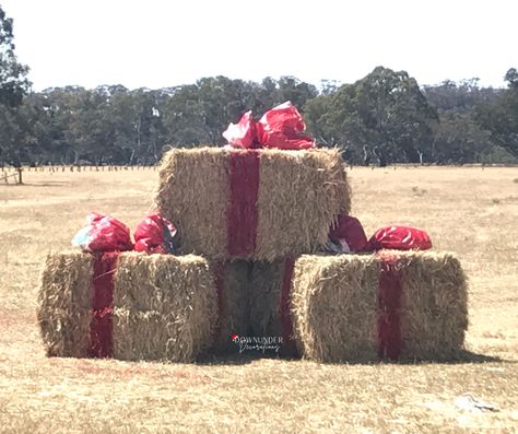 Straw Bales Christmas Decor, Ranch Christmas Decor Outdoor, Barn Decorated For Christmas, Hay Bales Christmas Decor, Barnyard Christmas Decor, Round Hay Bale Decorating Ideas Christmas, Hay Bale Christmas Ideas, Hay Bale Christmas Decor, Hay Bale Christmas Tree