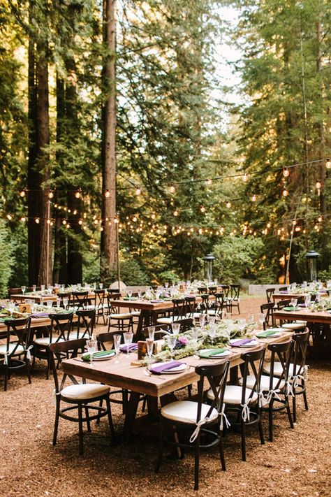 Launch yourself into the magic of this serene Redwoods forest wedding Redwood Forest Wedding, Twilight Wedding, Redwood Wedding, Woods Wedding, Wedding Forest, Forest Theme Wedding, Cheap Wedding Venues, Forest Aesthetic, Enchanted Forest Wedding