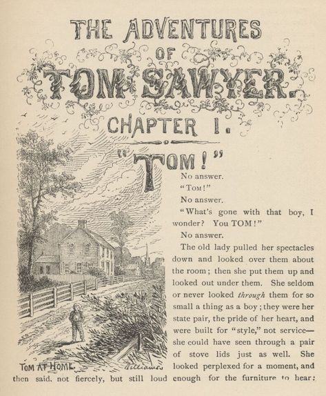 Elements Of Literature, The Adventures Of Tom Sawyer, Novel Study Units, Adventures Of Tom Sawyer, Project Gutenberg, Tom Sawyer, Independent Reading, Reading Program, Novel Studies