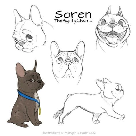 French Bulldog Drawing Easy, Harness Drawing, How To Draw Dogs, Dog Face Drawing, Cartoon Dog Drawing, French Bulldog Drawing, Bulldog Drawing, Dog Design Art, Dog Drawings