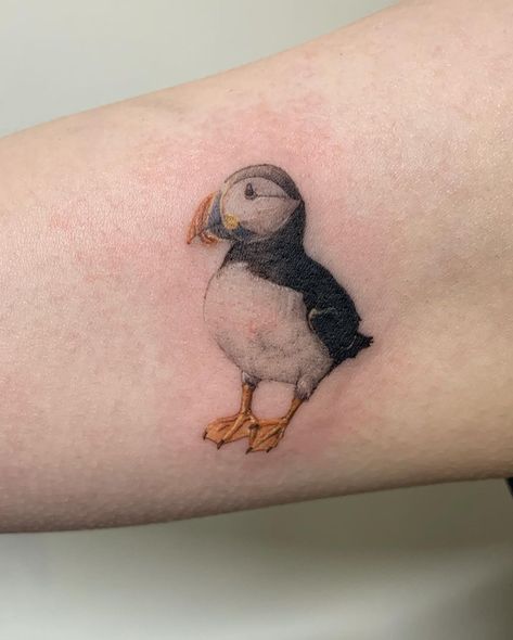 ⚡︎ Kaya Kyoungseo Min ⚡︎ | Puffin💚 so cute😂 Thanks Jess! For booking 👉 DM or email @littlearttattoo | Instagram Puffin Tattoo, Tattoos And Piercings, So Cute, Piercings, Tattoos, Instagram