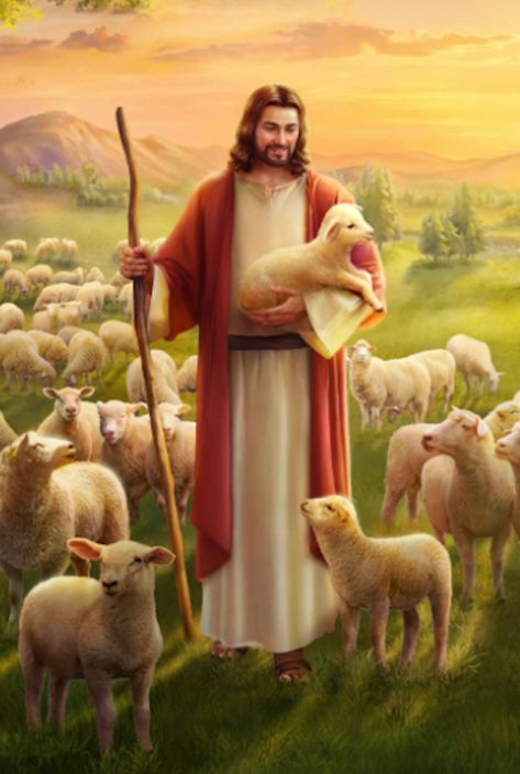 Mat 18:12–14 How think you? if a man have an hundred sheep, and one of them be gone astray, does he not leave the ninety and nine, and goes into the mountains, and seeks that which is gone astray? And if so be that he find it, truly I say to you, he rejoices more of that sheep, than of the ninety and nine which went not astray. Even so it is not the will of your Father which is in heaven, that one of these little ones should perish.
#God
#Christian
#Love
#Faith
#seeking_God
#Knowing_God 
#Bible Christ The Good Shepherd, Woord Van God, Jesus Our Savior, Jesus Christ Painting, Pictures Of Christ, Jesus Christ Artwork, Jesus And Mary Pictures, Jesus Photo, Jesus Christ Art