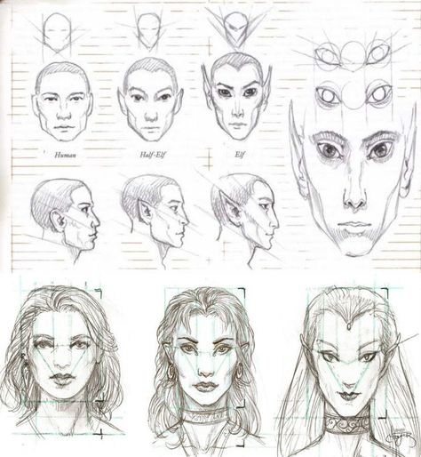 Elves are not Elven - Tel-quessir feed back ;) - Larian Studios forums Elf Drawing Reference, Alien Elf, Elf Faces, Elf Drawings, Dnd Elves, Skyrim Art, Lotr Elves, Elf Face, Half Elf