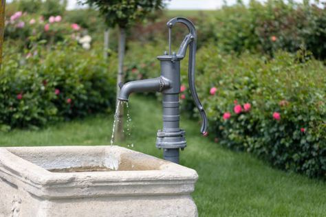 470+ Water Hand Pump Stock Photos, Pictures & Royalty-Free Images - iStock | Water pump, Water well Hand Water Pump, Tallgrass Prairie, Irrigation Pumps, River Severn, Young Farmers, Electric Water Pump, Drinking Water Bottle, Water Well, Hand Pump