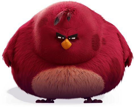 Terence Da Biggest Bird, Biggest Bird, Birds Movie, Swear Words, Angry Birds Movie, Angry Bird, Angry Birds, The Crazy, Error Page