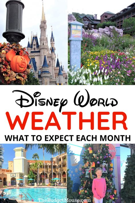 Preparing For Disney World Trip, Disney Preparation Tips, Disneyworld Tips 2023, Disneyworld 2023, Disneyworld 2024, Disneyworld Tips, Disney World For Adults, Disney Essentials, Disney Planner