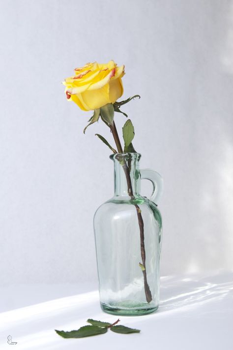 Roses Vase, Flowers In Vases, Still Life Pictures, Virgo Season, Flower Vase Arrangements, Flower Bar, Gift Delivery, Still Life Photos, Inspo Pics