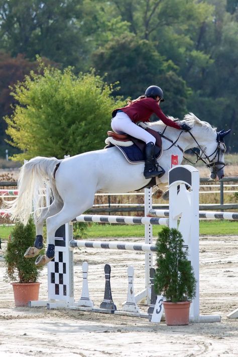 White Horse Jumping, Equestrian Aesthetic, Fish Sticks, Dream Horse, Horse Aesthetic, Grey Horse, Horse Jumping, Horse Life, Show Jumping