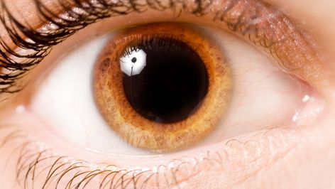 Are dilated pupils a cause for concern? Pupil Dilation, Pupils Dilate, Lying Eyes, Dilated Pupils, Adrenergic Receptors, Alcohol Withdrawal, Parts Of The Eye, Cranial Nerves, Blurry Vision