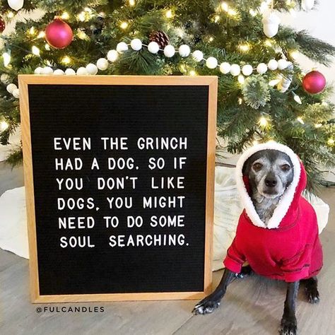 Even the Grinch had a dog! #Regram via @BrVqTTnhICG Christmas Quotes Grinch, Funny Christmas Messages, Holiday Quotes Funny, Funny Christmas Jokes, Christmas Jokes, Dog Quotes Funny, Holiday Quotes, Super Quotes, Trendy Quotes