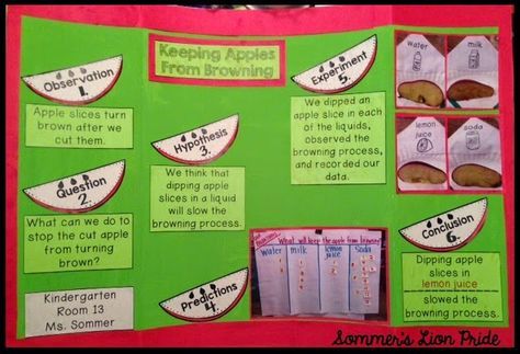 It's science fair time again and we have been working on our project.  We used the scientific method to guide our experiment. We began ... Scientific Method Experiments, Apple Science Experiments, Kids Science Fair Projects, Science Fair Board, Science Fair Experiments, Science Fair Projects Boards, Cool Science Fair Projects, Science Fair Project, Middle School Science Experiments