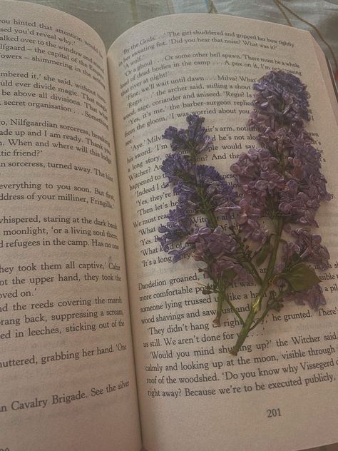 #books #academia #aesthetic #witcher #lilac #reading Light Purple Royalty Aesthetic, Lilac Books Aesthetic, Lavender Academia Aesthetic, Lilac Aesthetic Flowers, Purple Book Aesthetic, Violets Aesthetic, Elisabeth Aesthetic, Violet Cottagecore, Purple Academia Aesthetic