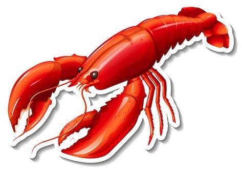 Red lobster cartoon sticker | Free Vector %23Freepik %23freevector %23animal-stickers %23animal-clipart %23water-drawing %23cartoon-svg Cute Lobster Drawing, Lobster Cartoon, Simple Lobster Drawing, Cartoon Lobster, Lobster Illustration Cute, Purple Lobster, Red Lobster, Cartoon Stickers, Vector Free