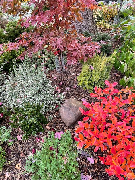 Michigan Landscaping Ideas, Hosta June, Michigan Landscaping, Michigan Garden, Michigan Gardening, Fine Gardening Magazine, Naturalistic Garden, Natural Landscaping, Flowering Bushes