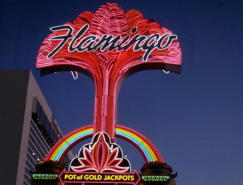 Las Vegas Flamingo Casino 1983 | Ronald Hirlé | Flickr Flamingo Vegas, Flamingo Casino, 2024 Title, Flamingo Las Vegas, Title Screen, Never Getting Married, Vintage Neon Signs, Vintage Neon, Vintage Photo