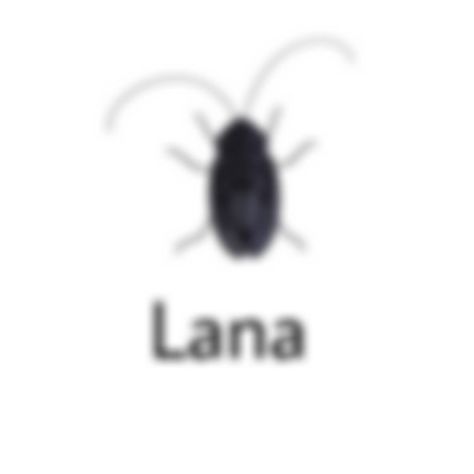 Bugs With Names, Insects Names, Hi Welcome To Chili's, Bug Collection, Cool Bugs, Character Creation, What’s Going On, Pet Names, Reaction Pictures