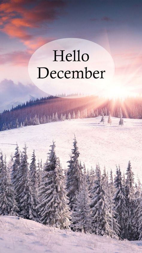 Hello Desember Hello December Wallpaper Iphone, Hello December Wallpaper, Hello December Pictures, December Wallpaper Iphone, Hello December Quotes, Hello December Images, December Wishes, December Images, December Pictures