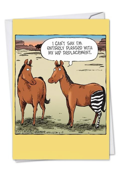 Funny Get Well Soon, Surgery Humor, Funny Get Well Cards, Funny Get Well, Horse Jokes, Get Well Soon Card, Funny Cartoon Pictures, Get Well Wishes, Pet Tips