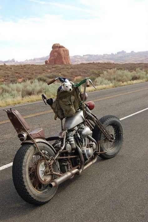 Rock Balboa, Vintage Motorcycle Photos, Mountain Bike Tattoo, Motorcycle Harley Davidson, Cafe Racer Design, Road King Custom, Bike Helmets, Harley Davidson Fatboy, Motorcycle Decor