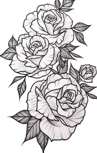 Rose Tattoo Stencil, Background Tattoo, Rose Drawing Tattoo, Rose Tattoo Sleeve, Floral Tattoo Sleeve, Inspiration Tattoos, Tattoo Stencil Outline, Floral Tattoo Design, Rose Tattoo Design