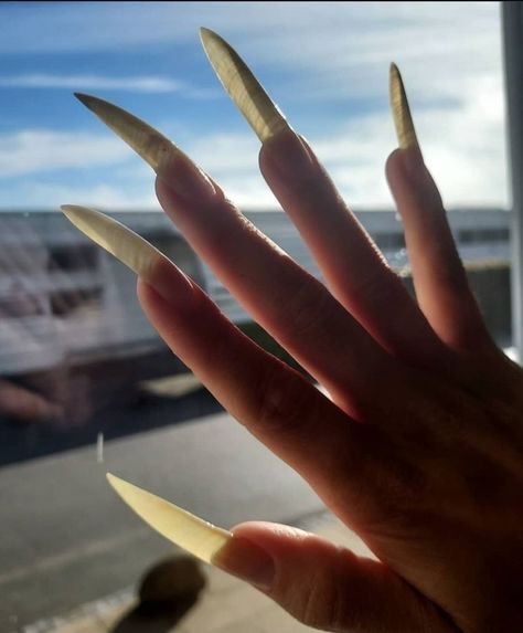 horror long natural nails Real Long Nails, Natural Nails Long, Nail Designs Bling, Long Natural Nails, Long Fingernails, Claw Nails, Long Nail, Strong Nails, Clear Nails