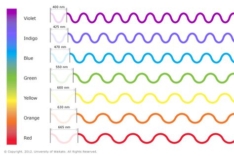 Colours of light — Science Learning Hub Visible Light Spectrum, Physics Lessons, Light Science, Visible Spectrum, Electromagnetic Spectrum, Shingle Colors, Physics And Mathematics, Light Wave, Color Wave